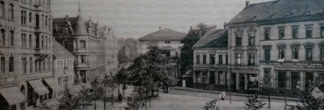 Historisches Foto des Ossietzkyplatzes mit der jungen Friedenseiche