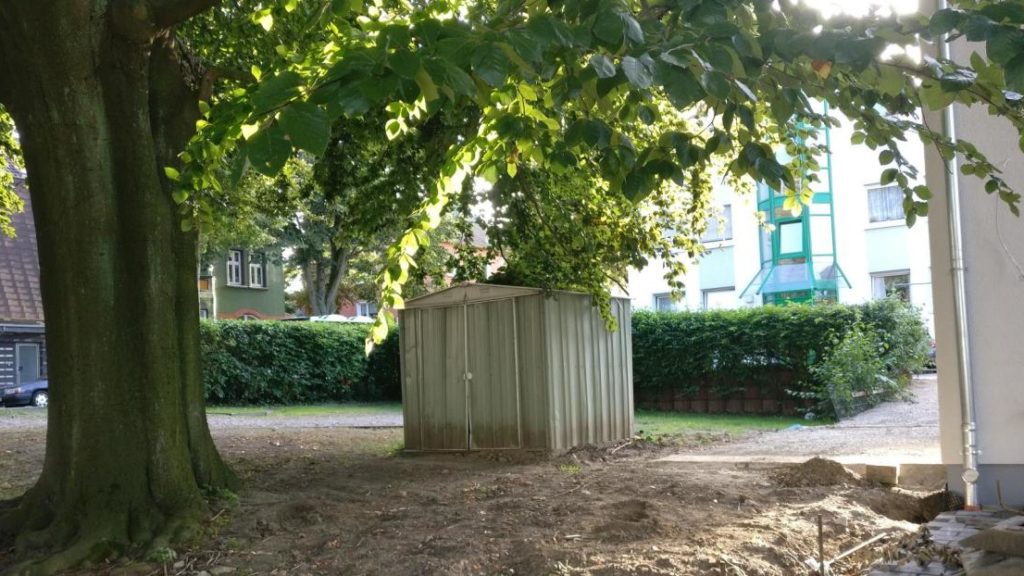 Rotbuche mit nahegelegenen Bauarbeiten