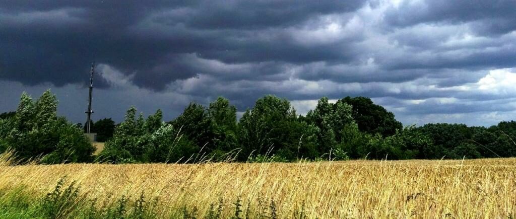 Dunkle Wolken über dem Vöckenberg