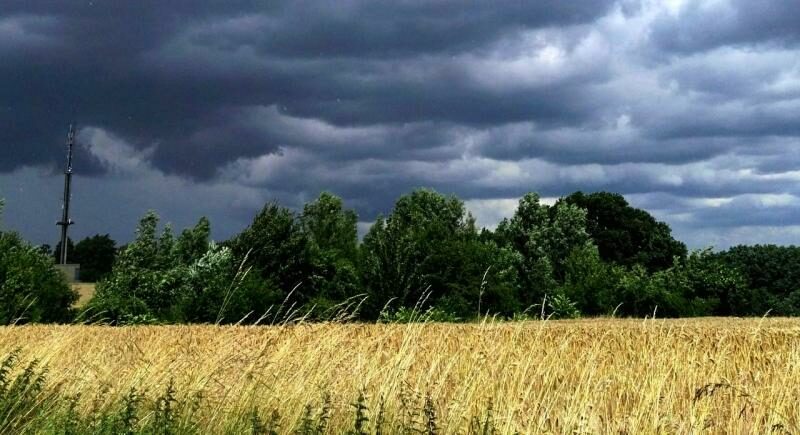 Dunkle Wolken über dem Vöckenberg