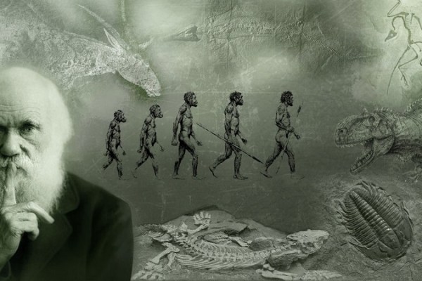 Links ein Foto von Charles Darwin. In der Mitte und rechts eine Montage aus Fossilien, einem Bild von einem Dinosaurier und der Evolution des Menschen.